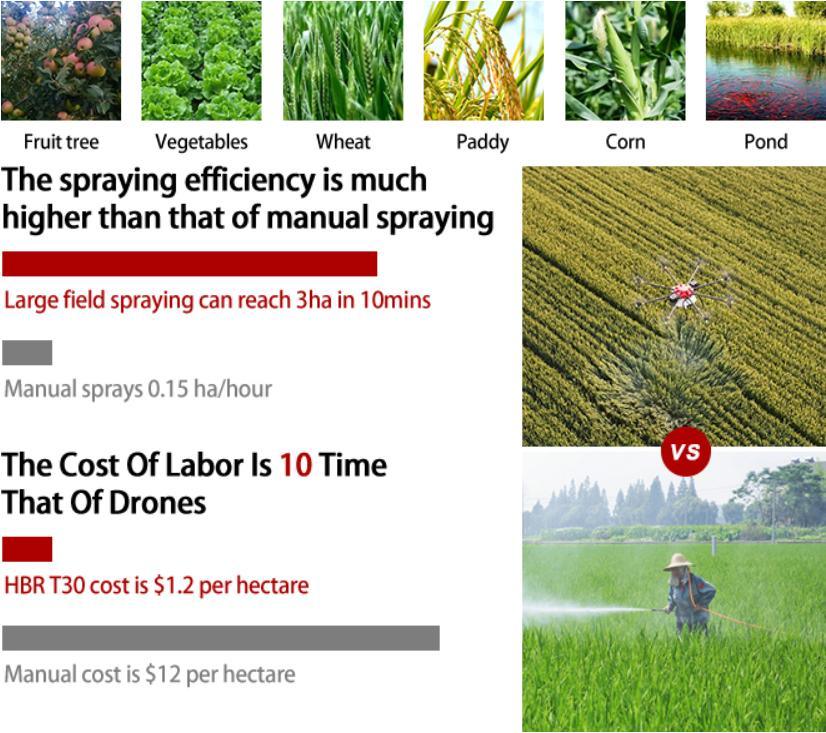 High Efficient T30 Farming Tools Pesticide Sprayer 30kg Heavy Payload Agriculture Spraying Drone