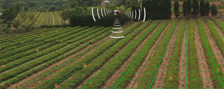 25L Payload 4-Rotor Agricultural Uav Autonomous Plant Protection Drone